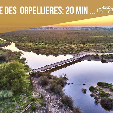Centre Historique - Free Parking - Self Checkin - Wifi - Industriel - Sleepntripbeziers Appartement Buitenkant foto