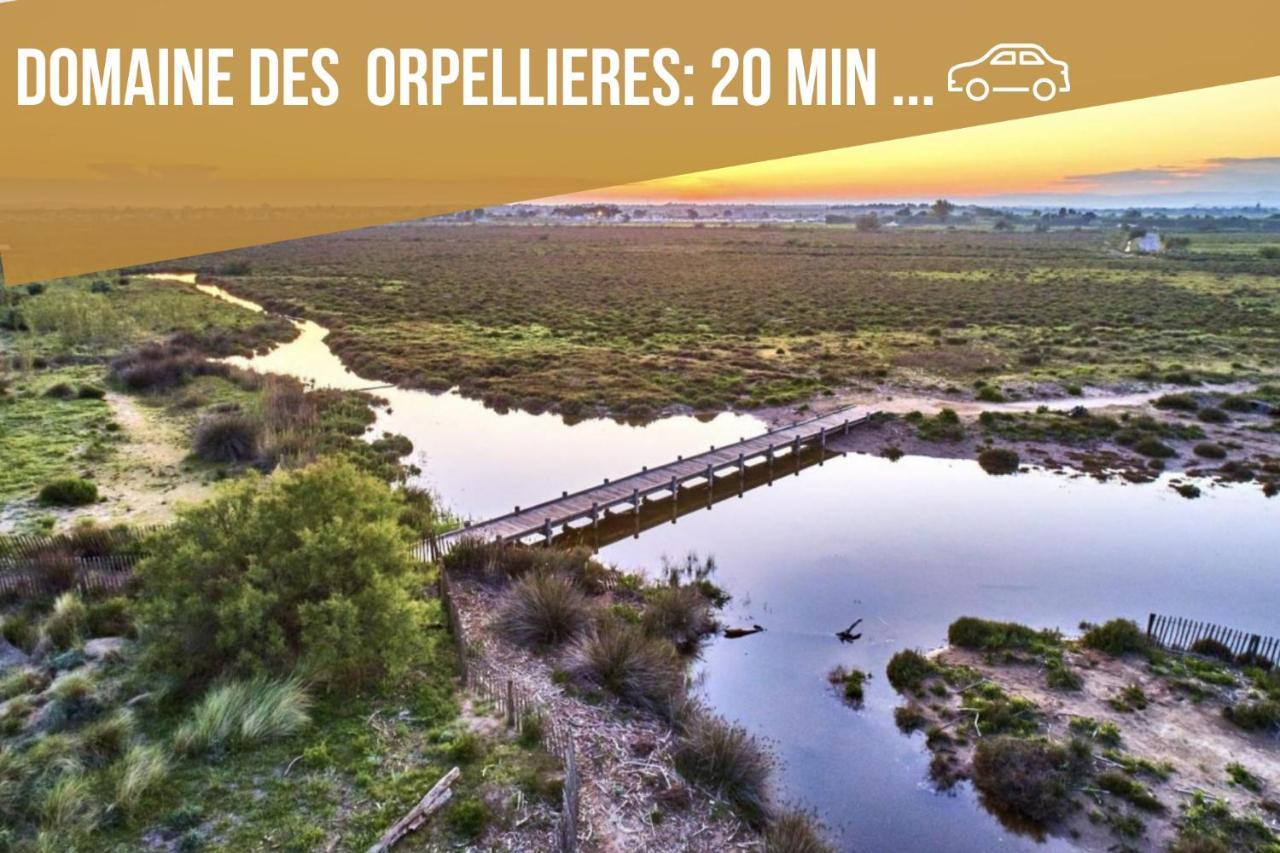 Centre Historique - Free Parking - Self Checkin - Wifi - Industriel - Sleepntripbeziers Appartement Buitenkant foto